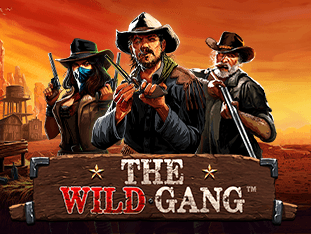 The Wild Gang game screenshot