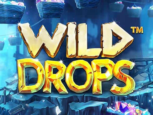 Wild Drops game screenshot