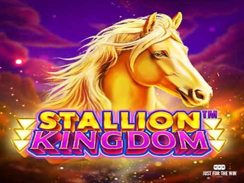 Stallion Kingdom game screenshot