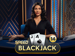 Speed Blackjack 14 game screenshot